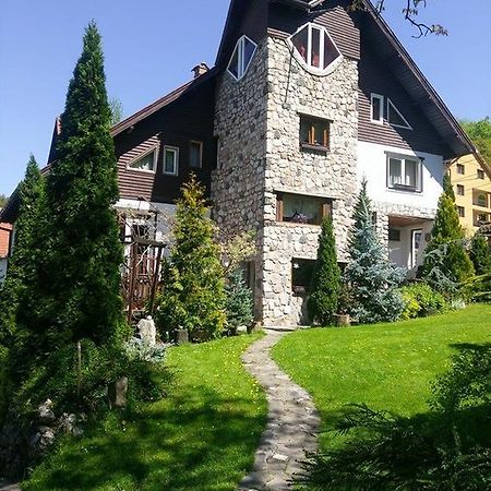 Pension Casa Contelui Rîşnov Εξωτερικό φωτογραφία
