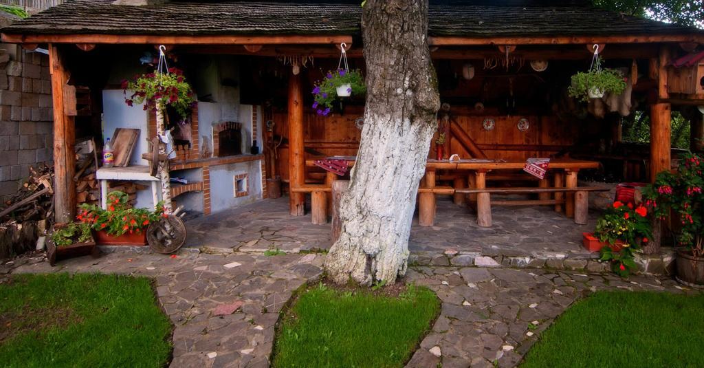 Pension Casa Contelui Rîşnov Εξωτερικό φωτογραφία
