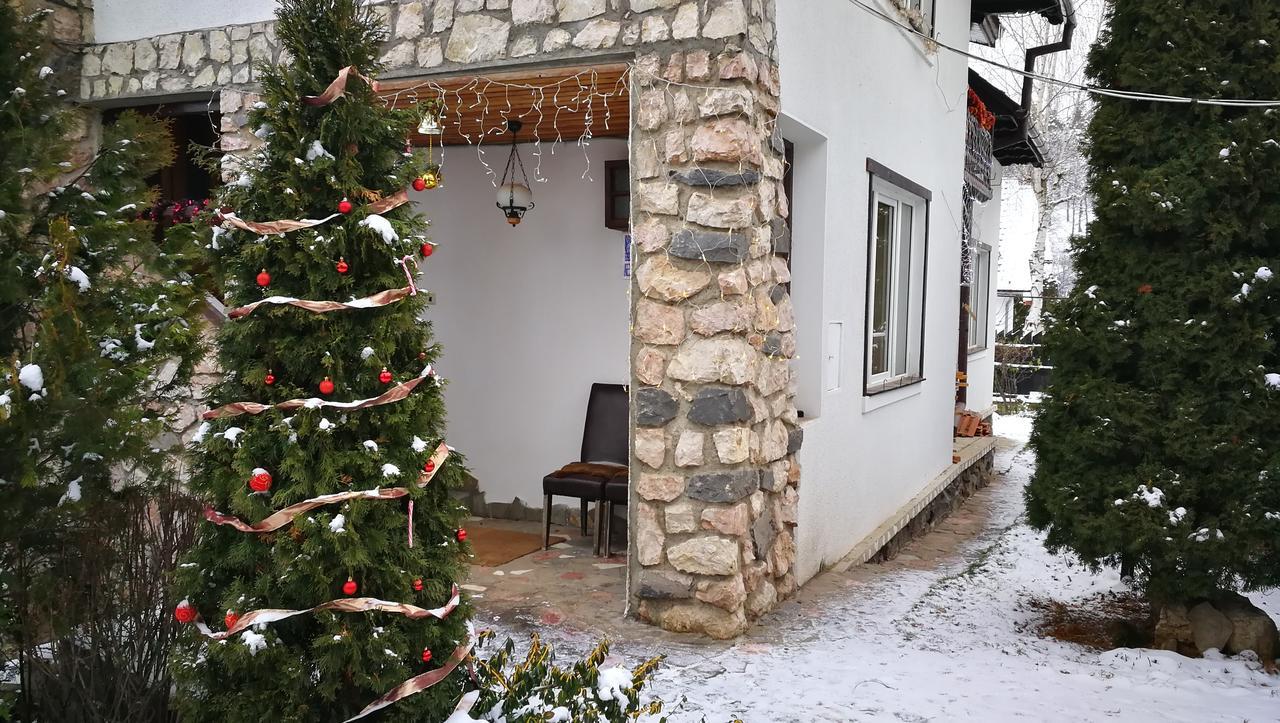 Pension Casa Contelui Rîşnov Εξωτερικό φωτογραφία